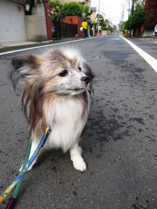 2019(H31)-4-25  夬βֻ (13)