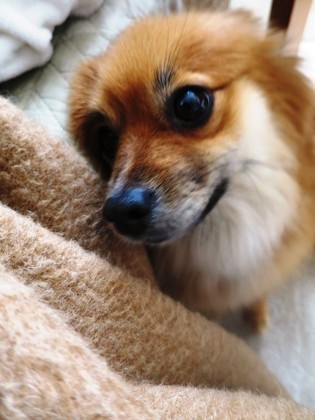 2019(H31)-2-16 トライアルの朝 (5)