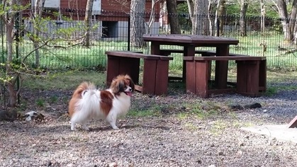 2015(H27)-5-2 �̷ڰ��� 02