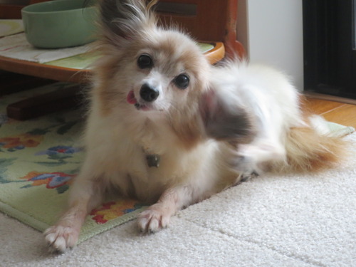 2020(R2)-9-2 退屈なファラ (15)