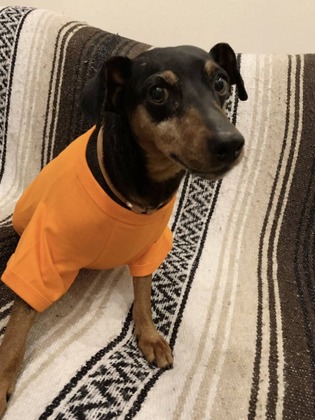 £´·î»²²Ã¸¤