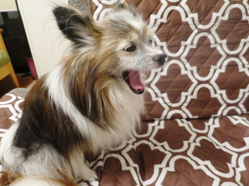 2019(R1)-9-13 ƥ⥽ե˾ (3)