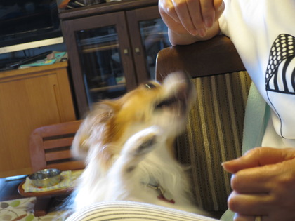 2018(H30)-7-18 İ˥å (16)