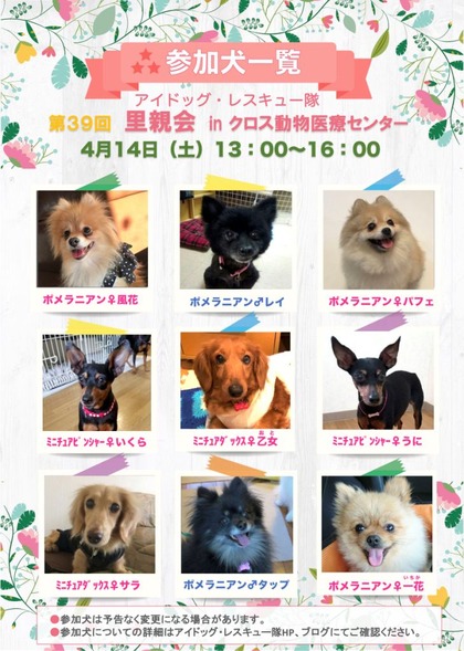 20180414Τ�Ʋ�_FIX_02