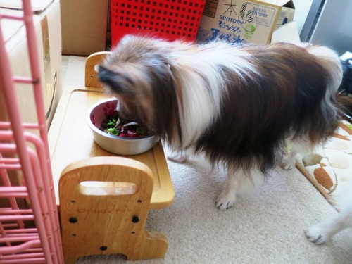 2019(R1)-8-31 Ǽ纮ѥԥ (8)