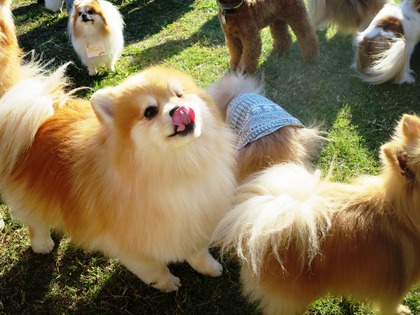 2015(H27)-10-25 第2回卒オフ (237)