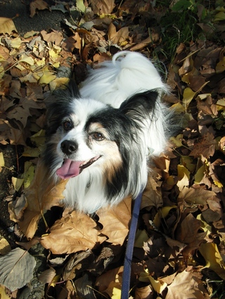 ����ޤ��� 01