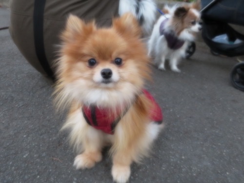 2020(R2)-12-20 Τ (7)