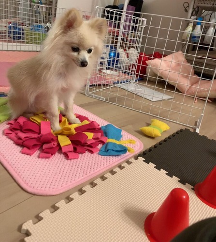 2020(R2)-5-20 �ȥ饤����13���� (2)