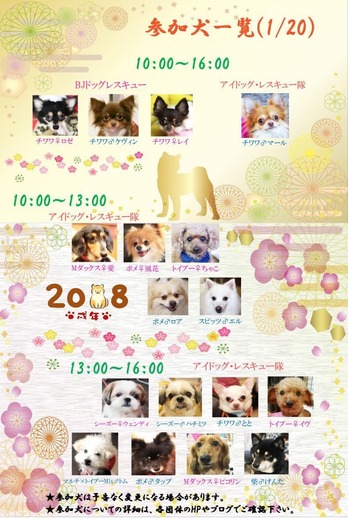 1月里親会参加犬