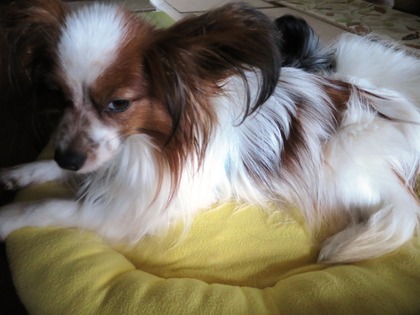 2016(H28)-4-24 無遠慮に (6)