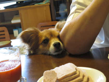 2018(H30)-7-18 İ˥å (12)