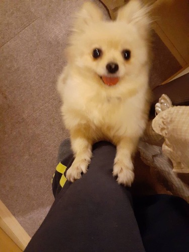 ޤȥ饤뽪λ 2019-12-14