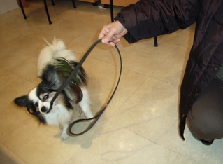 引っ張りっこ 04