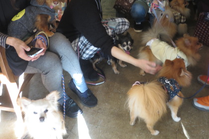 2016(H28)-12-10 第23回里親会・白金台 (27)