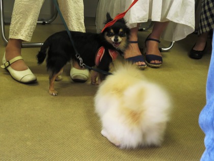 2016(H28)-7-16 ��17��Τ�Ʋ���� (14)