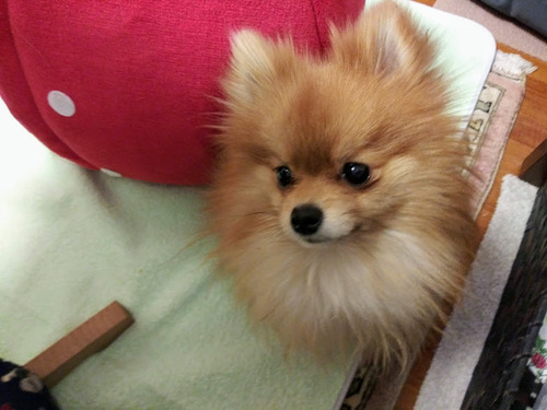 2021(R3)-1-28 ����3ǯ������� (12)