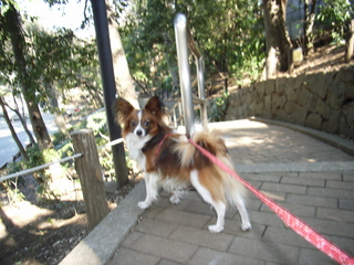 探しているの 5