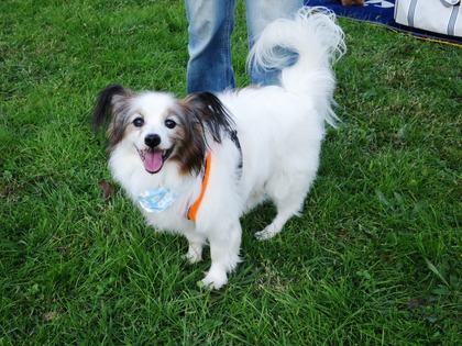 2017-11-3 卒オフ会 (18)