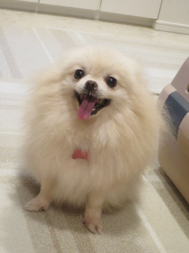 2020(R2)-9-12 ¤ª»¶Êâ½àÈ÷ (5)