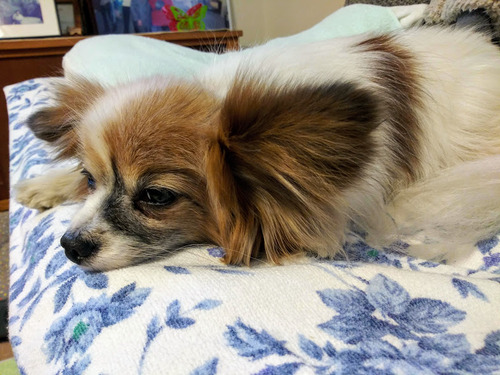 2021(R3)-1-28 ����3ǯ������� (6)