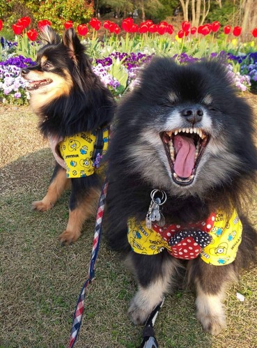 2020(R2)-6-1 åסꡦ٥ (2)