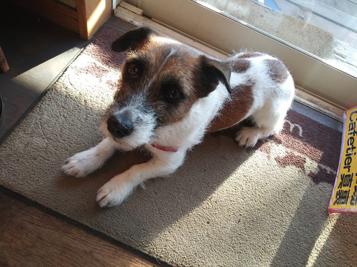 2021(R3)-1-4 トライアルへ (3)