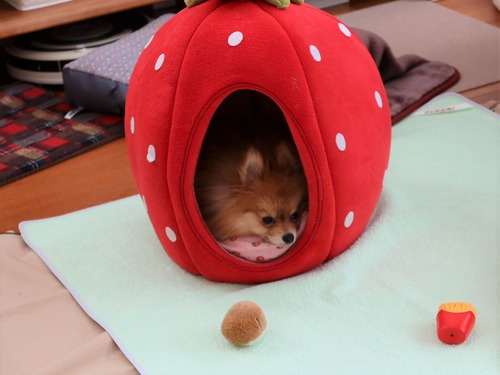 2021(R3)-2-20 Ƥåԡ (2)