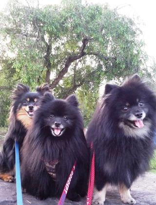 2018(H30)-5-25 ȥ饤3 05