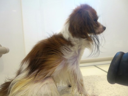 2014(H26)-7-17 �����ס� (4)