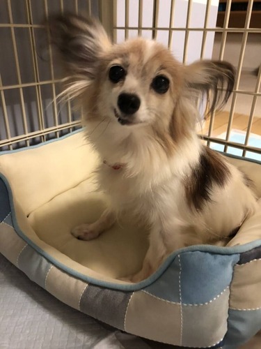 2020-9-29 トライアル3日目