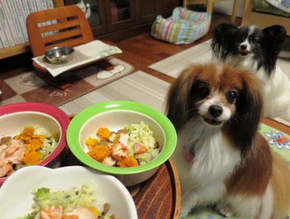 2014(H26)-5-22 シャンプー後のご飯は (2)