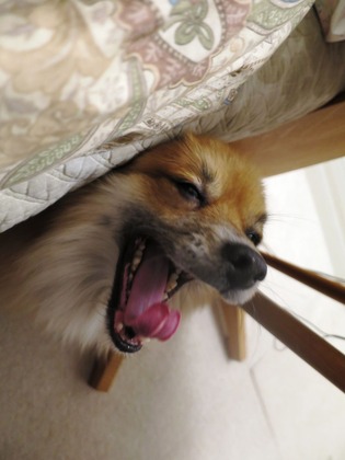 2019(H31)-2-9 傍に居たいの (4)