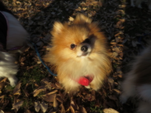 2020(R2)-12-22 סζ (29)