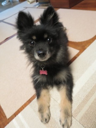 2017(H29)-10-16  (1)