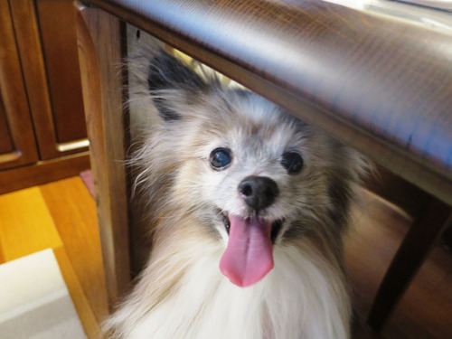 2019(R1)-7-20 �嵐������������ޥޤΥ���Ĥ��� (18)