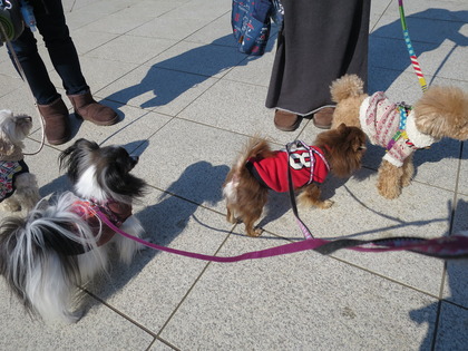 2015-2-11 ����ǰ���ν��ޤ��� (2)