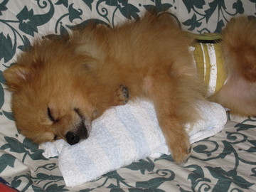 �������Υ󡡣�