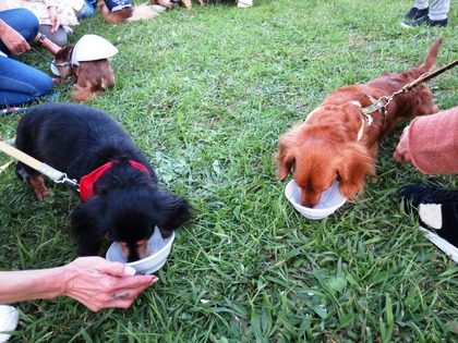 2017-11-3 第4回卒オフ会 (151)