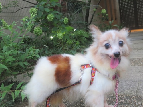 2020(R2)-7-20 ߱äƾд (6)