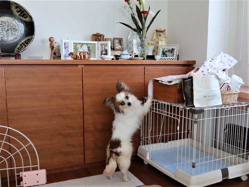 2021(R3)-5-9 こんな事もあんな事もしでかします (5)