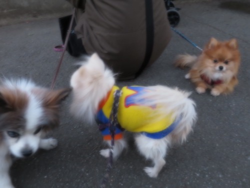 2020(R2)-12-20 Τ (9)