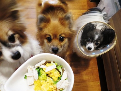 2019(H31)-2-16 トライアルの朝 (10)