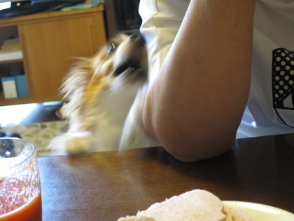 2018(H30)-7-18 İ˥å (14)