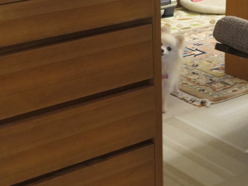 2020(R2)-4-2 ³�Ԥ�����ʤ����� (5)