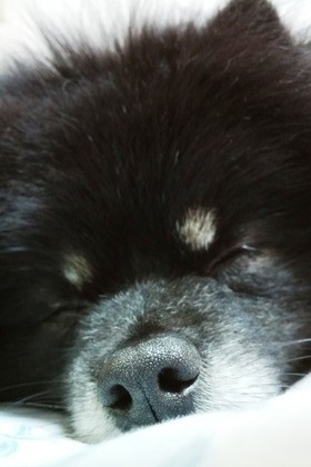 2018(H30)-5-25 ȥ饤3 07