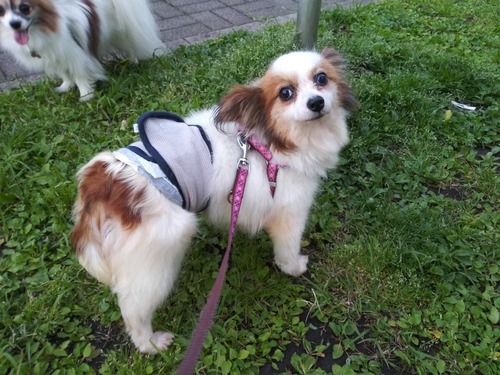 2021(R3)-5-4 ��̱�����ѥ��ˤ� (9)