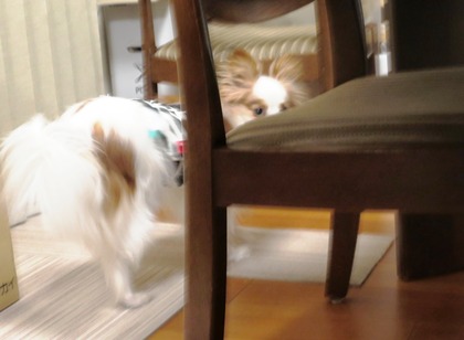 2019(H31)-3-7 �ӥӥ�Υ��ե��� (4)