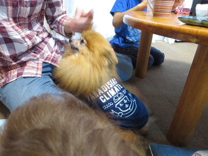 2017(H29)-9-30 �ݥå�����ˬ�� (3)