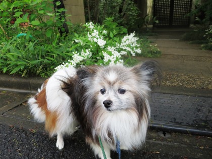 2019(H31)-4-25  夬βֻ (7)